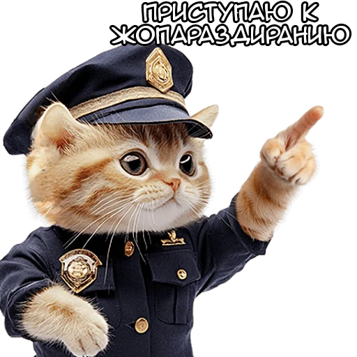 ✊ Стикер «Кот полицейский» для Telegram