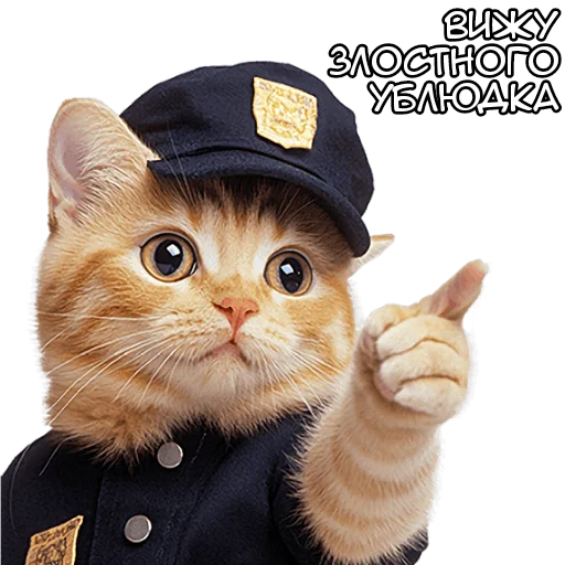 🫵 Стикер «Кот полицейский» для Telegram