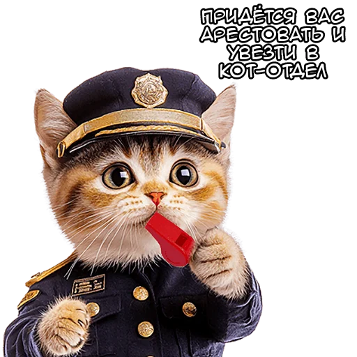 👮‍♂ Стикер «Кот полицейский» для Telegram