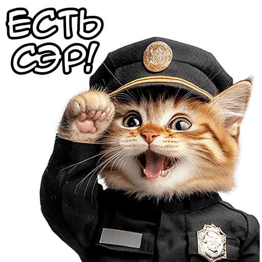 🫡 Стикер «Кот полицейский» для Telegram