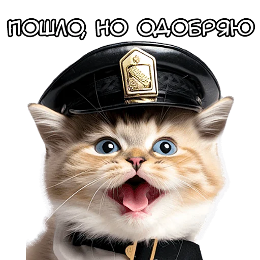 👌 Стикер «Кот полицейский» для Telegram