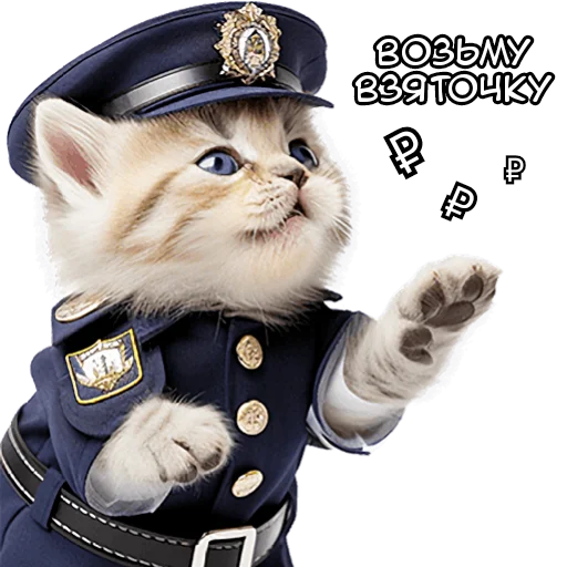 🤑 Стикер «Кот полицейский» для Telegram