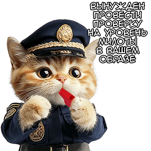 🥹 Стикер «Кот полицейский» для Telegram