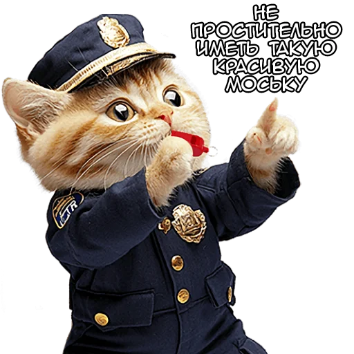 🫵 Стикер «Кот полицейский» для Telegram