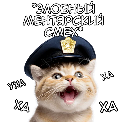 😈 Стикер «Кот полицейский» для Telegram