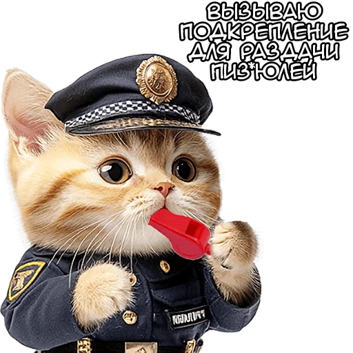 🫵 Стикер «Кот полицейский» для Telegram