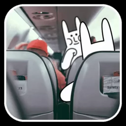 Стикерпак Realistic Rabbit для Telegram — скачать