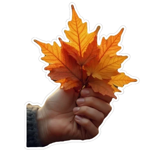🍁 Стикер «Real life» для Telegram