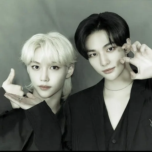 🤎 Стикер «Stray Kids» для Telegram