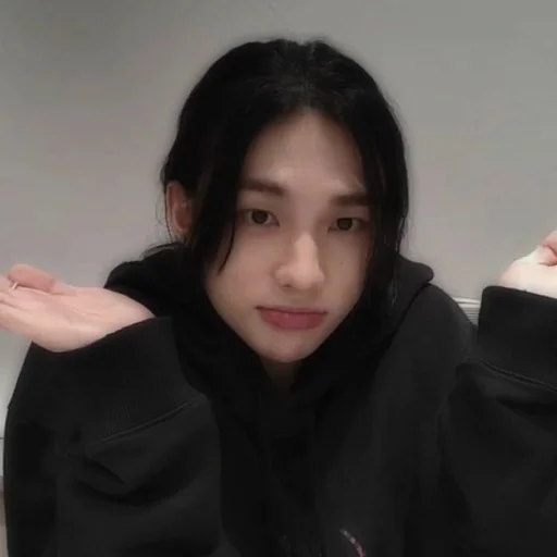 Стикерпак Stray Kids для Telegram