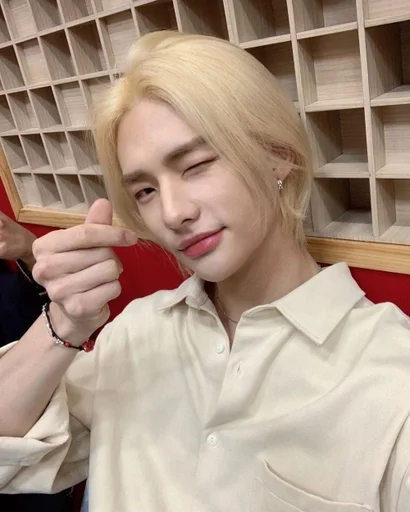 🎞 Стикер «Stray Kids» для Telegram
