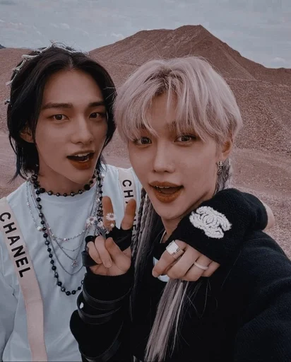 🤎 Стикер «Stray Kids» для Telegram