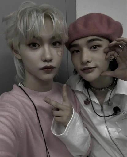 🤎 Стикер «Stray Kids» для Telegram