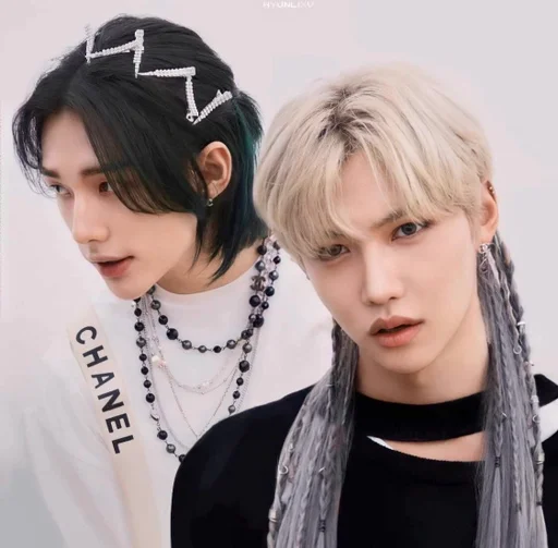 🤎 Стикер «Stray Kids» для Telegram