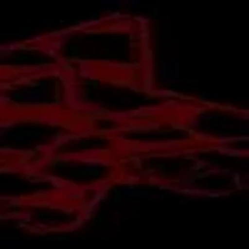 🌟 Эмодзи «red and black» для Telegram