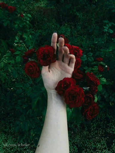 ♥ Стикер «RED Colour» для Telegram