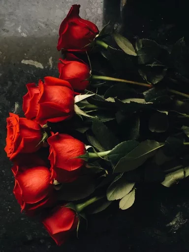 ♥ Стикер «RED Colour» для Telegram