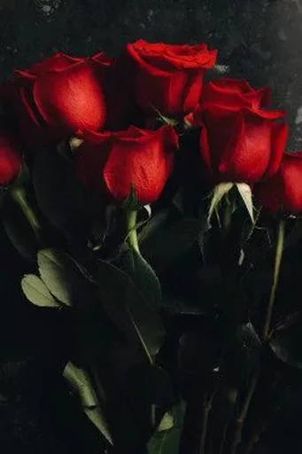 ♥ Стикер «RED Colour» для Telegram