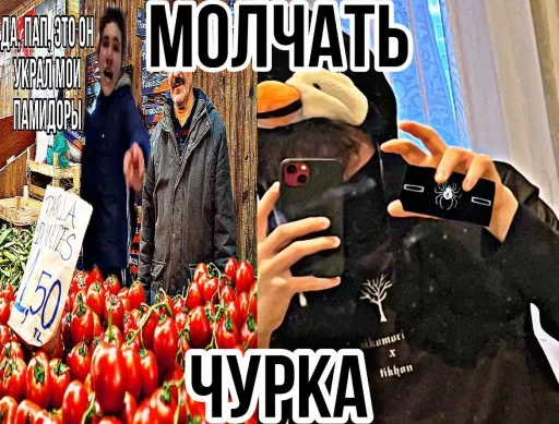 🕷 Стикер «чвк редан» для Telegram