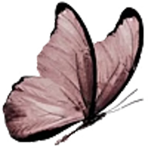 🦋 Эмодзи «red&black» для Telegram