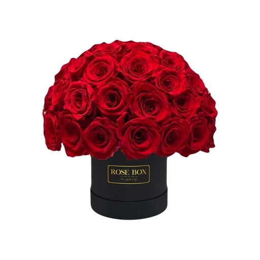 🌟 Стикер «red wishlist» для Telegram