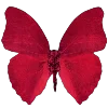 🦋 Эмодзи «Red» для Telegram