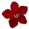 🌸 Эмодзи «Red» для Telegram