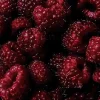 🍓 Эмодзи «red with love ani» для Telegram