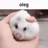 Стикер 55 Oleginside
