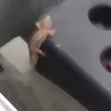 Стикер 13 Oleginside