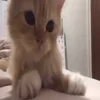 Стикер 28 Oleginside