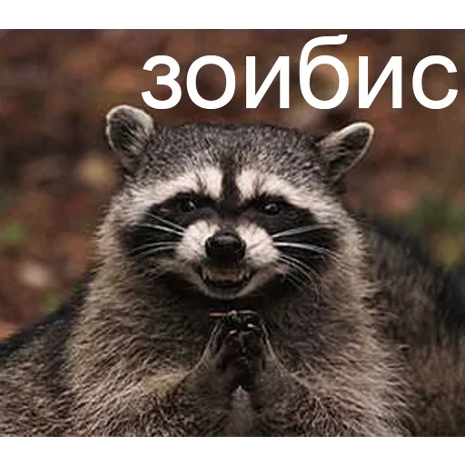 🤔 Стикер «Рекомендую к залипанию» для Telegram