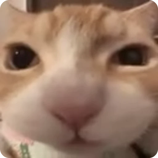 😋 Стикер «Relanit Animated 2» для Telegram