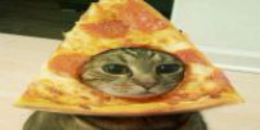 🍕 Стикер «Relanit Animated 2» для Telegram