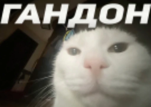 🫵 Стикер «Relanit Animated 2» для Telegram