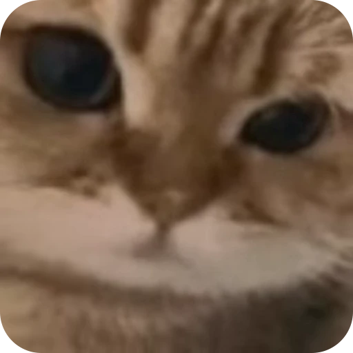 🐈 Стикер «Relanit Animated 2» для Telegram