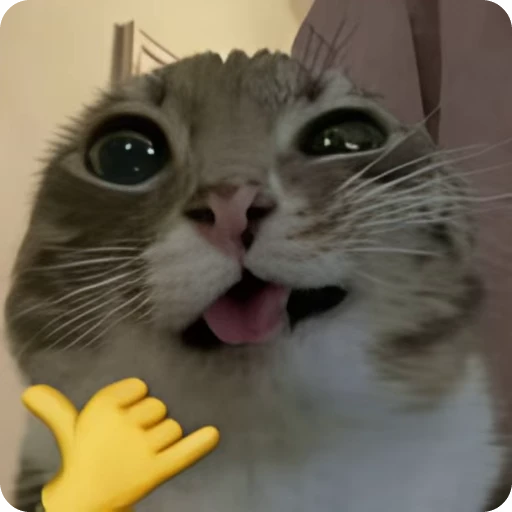 🤙 Стикер «Relanit Animated 2» для Telegram