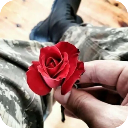 🌸 Стикер «Related» для Telegram