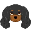 Стикер 31 Dogs