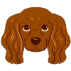 Стикер 34 Dogs