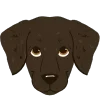 Стикер 5 Dogs