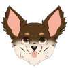Стикер 20 Dogs