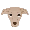 Стикер 43 Dogs