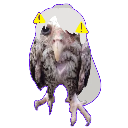 🦉 Стикер «ренка гренка» для Telegram