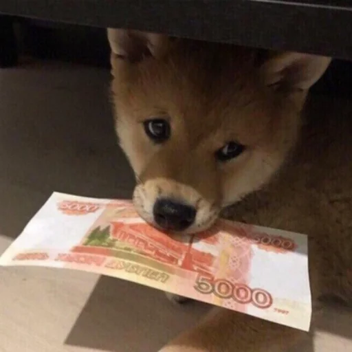 💰 Стикер «Repmans_mem» для Telegram