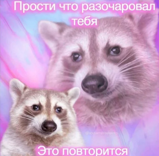 🦝 Стикер «Repmans_mem» для Telegram