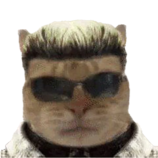 😼 Стикер «Whiskers» для Telegram