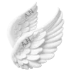 Стикер 4 Resident Angelic