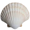 🐚 Эмодзи «rest time» для Telegram