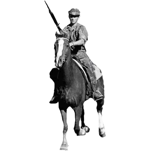 🐴 Стикер «Fan Rhodesian Pack» для Telegram